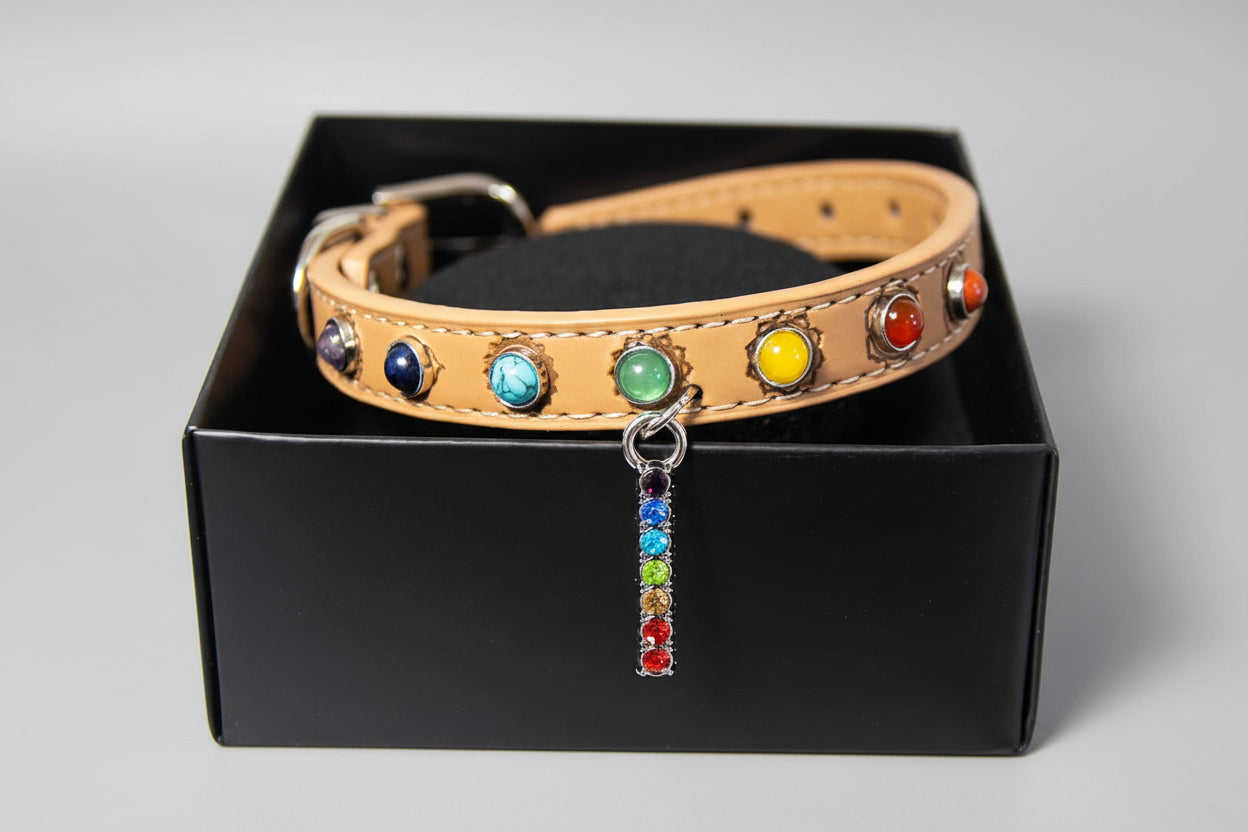Collier pour chien en cuir végan - 7 chakras - Moyen 15"L