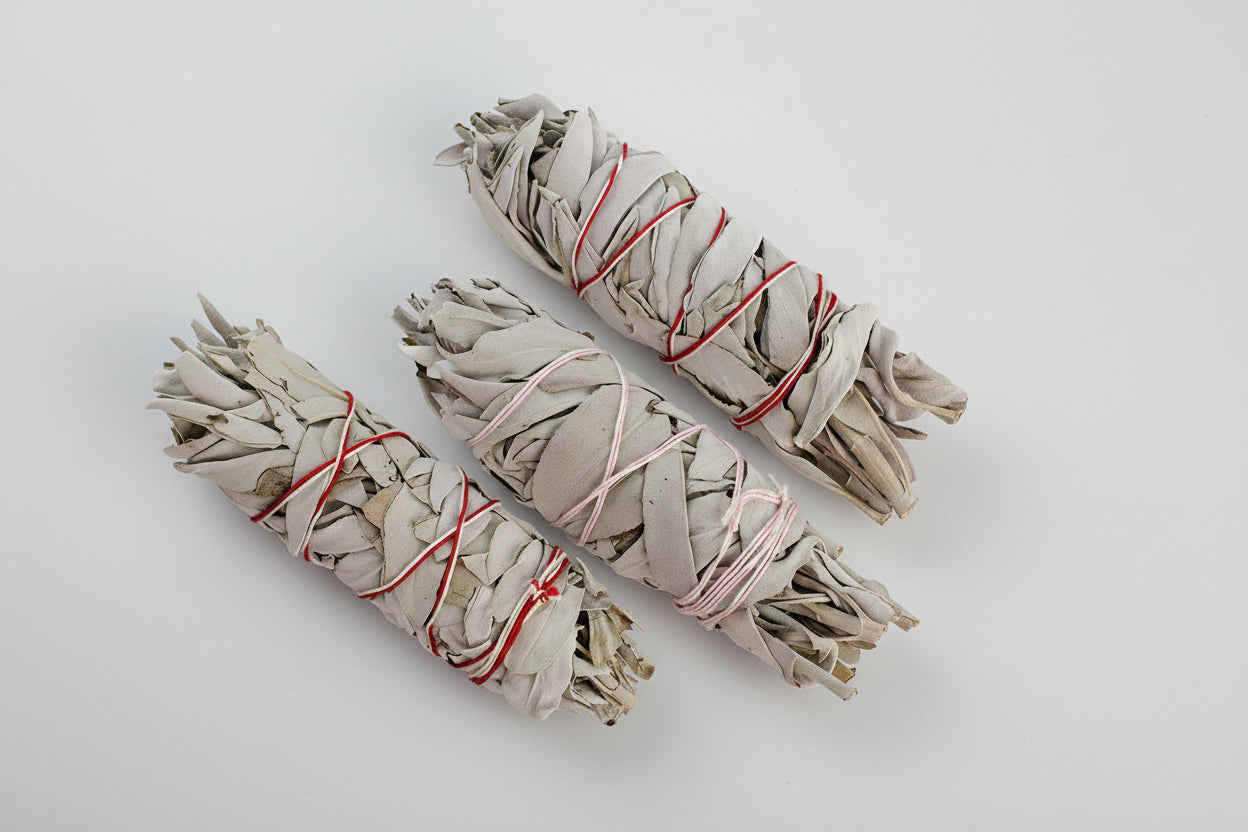 Bâtonnets de maculage, blancs, en vrac, de taille moyenne, environ 5 à 6 pouces