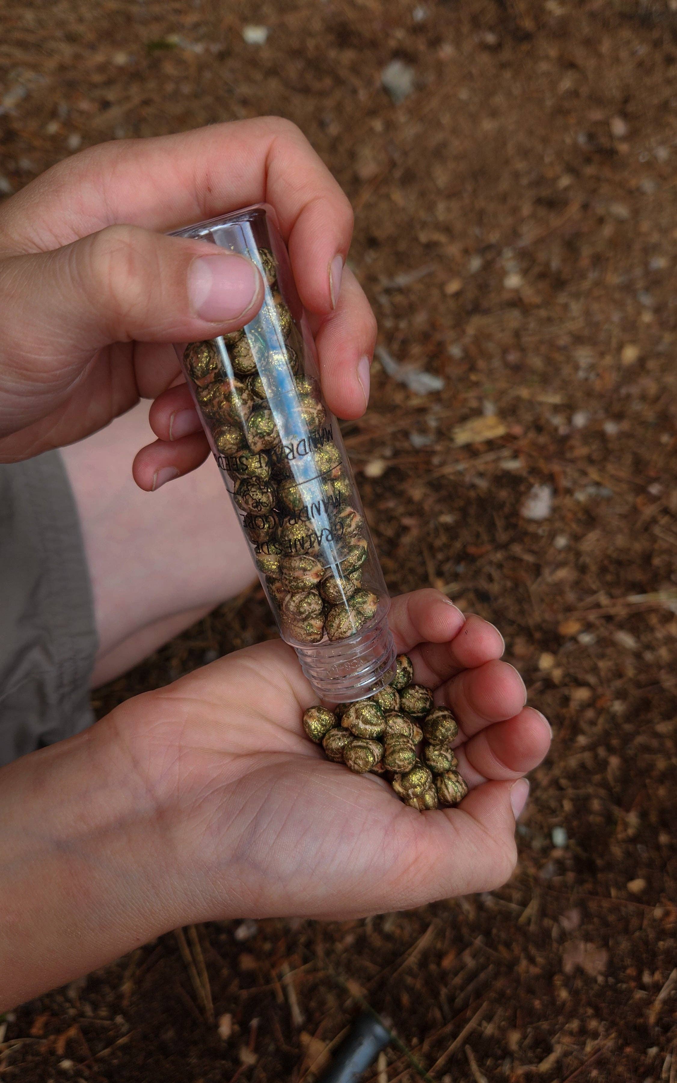 ✨ Coffret Potion – École de Sorcellerie